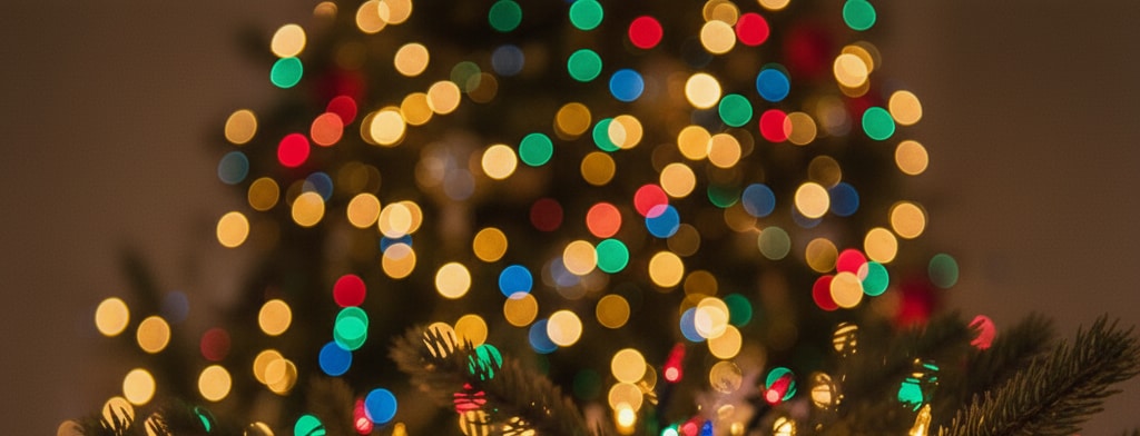 bokeh christmas lights Raleigh